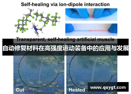 自动修复材料在高强度运动装备中的应用与发展